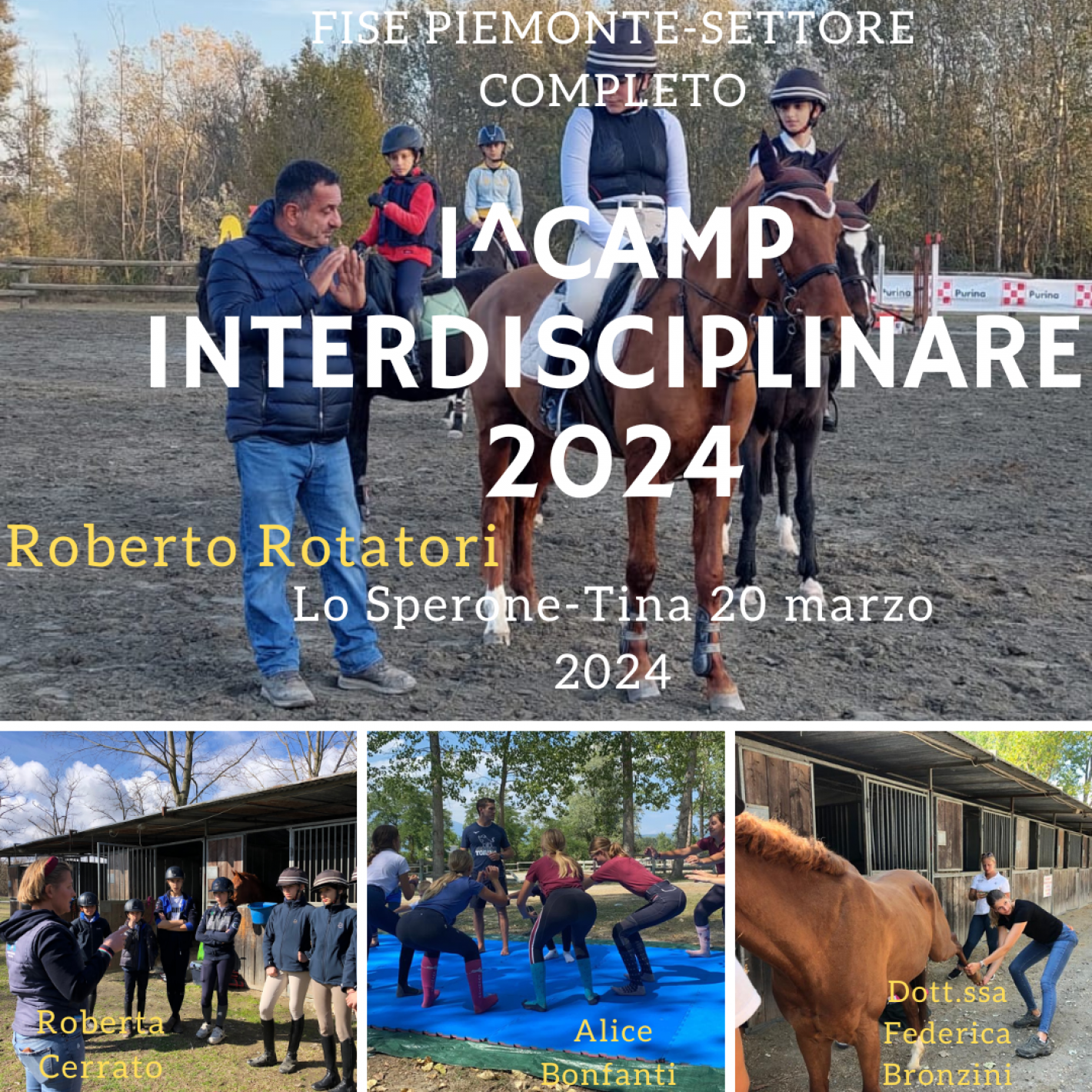 images/piemonte/Piemonte/Completo/medium/Fise_piemonte-settore_completo.PNG