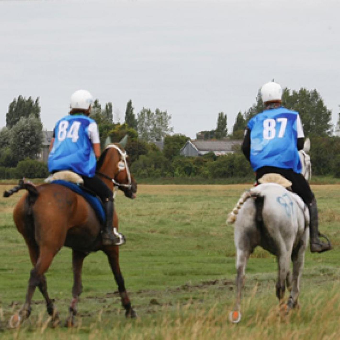 images/piemonte/Piemonte/Endurance/small/medium/generica-endurance.jpg