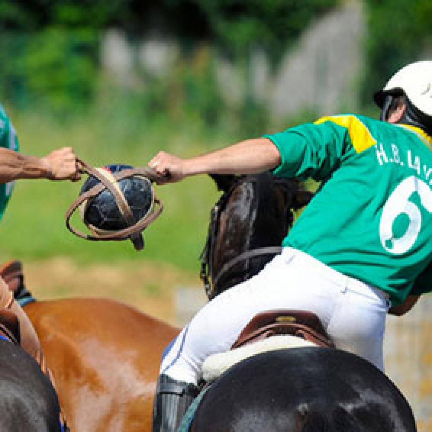 images/piemonte/Piemonte/Horseball/large/medium/generica-horseball.jpg