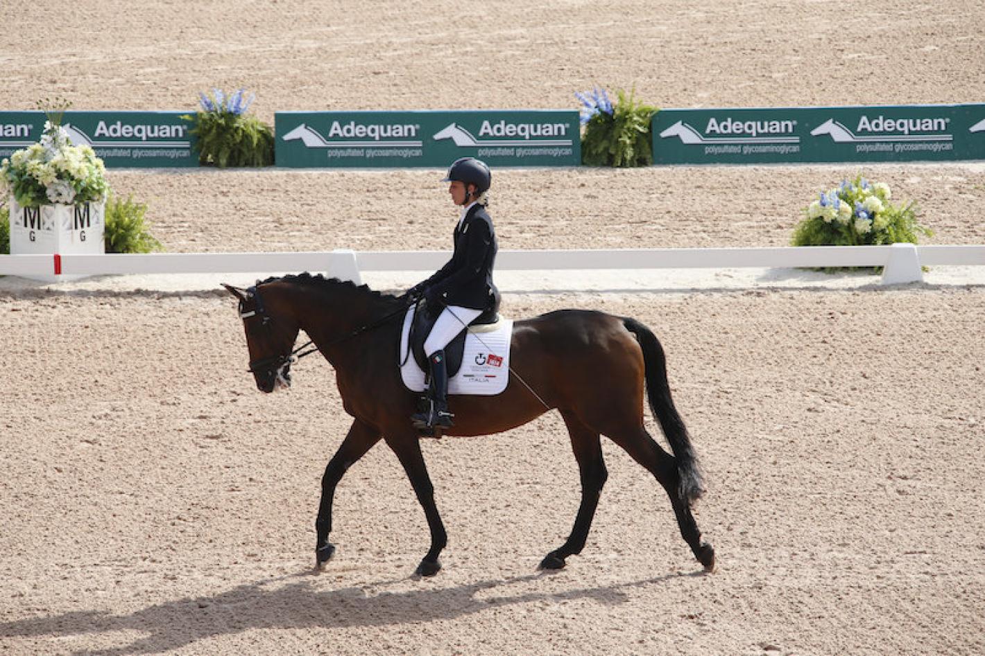 images/piemonte/Piemonte/Paralimpica/medium/Paradressage_Morganti_royal.JPG