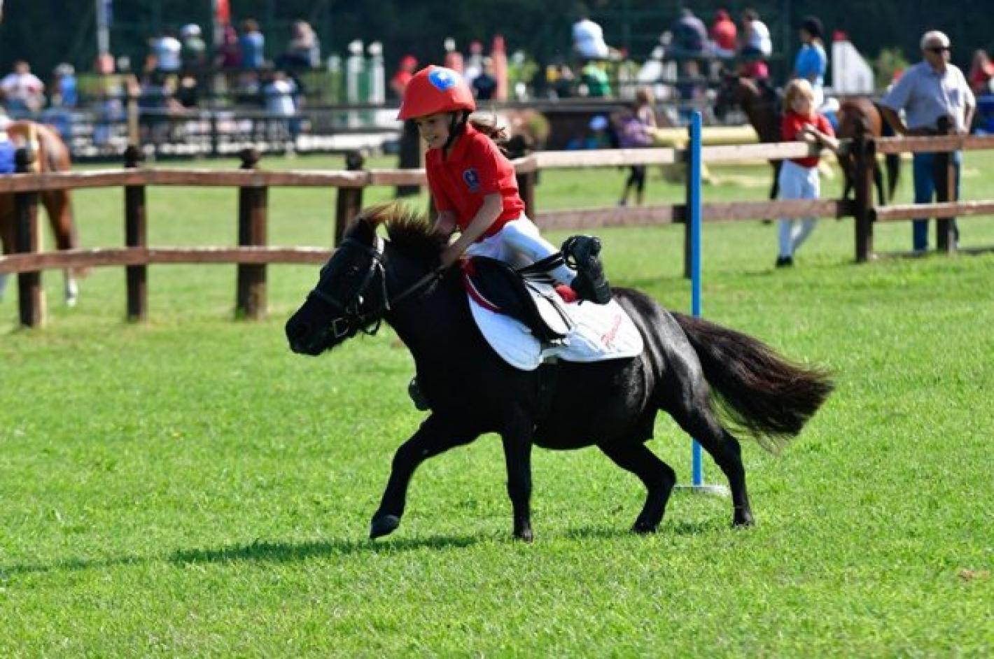 images/piemonte/Piemonte/Pony/medium/Pony_Games_Marco_Villanti.jpg