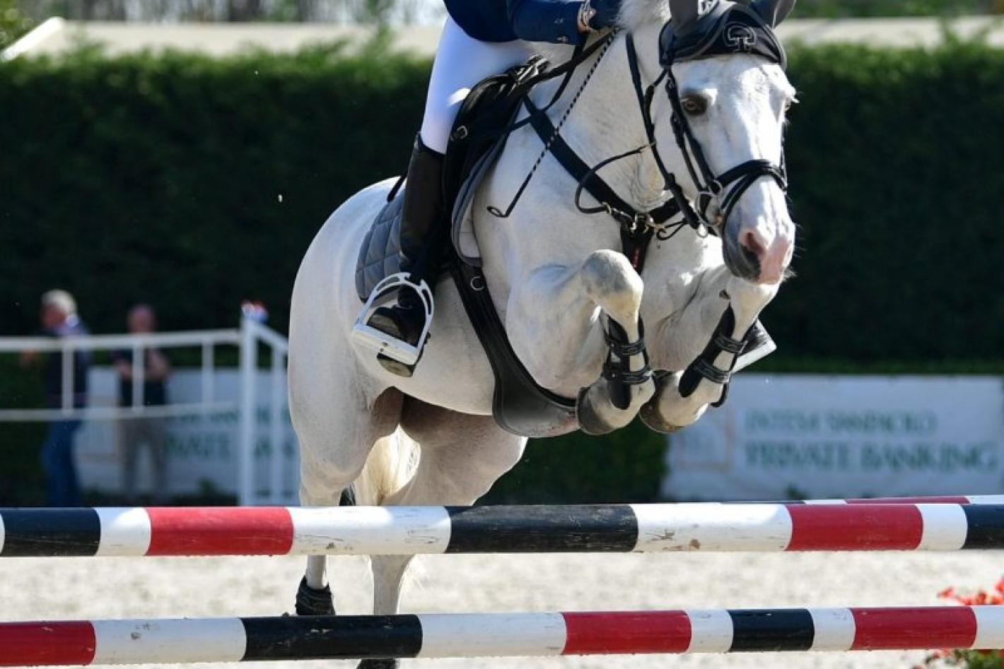 images/piemonte/medium/GENERICA_PONY_SALTO_Sassofotografie.jpg