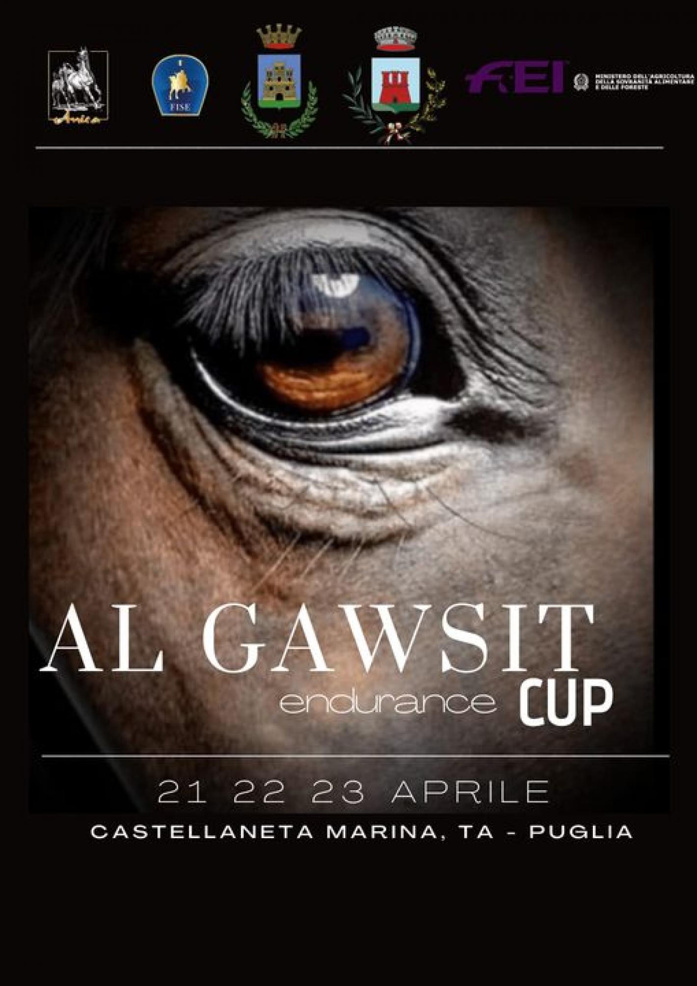 images/medium/al_Gawsit_endurance_Cup.jpg