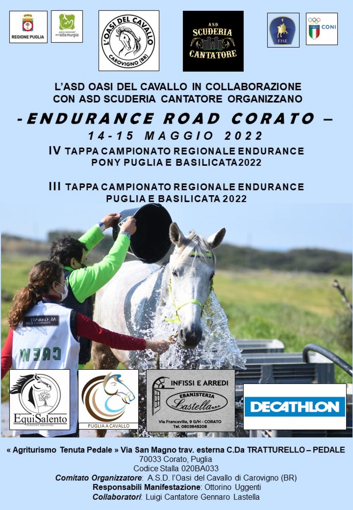 images/medium/endurance_road_corato.jpg