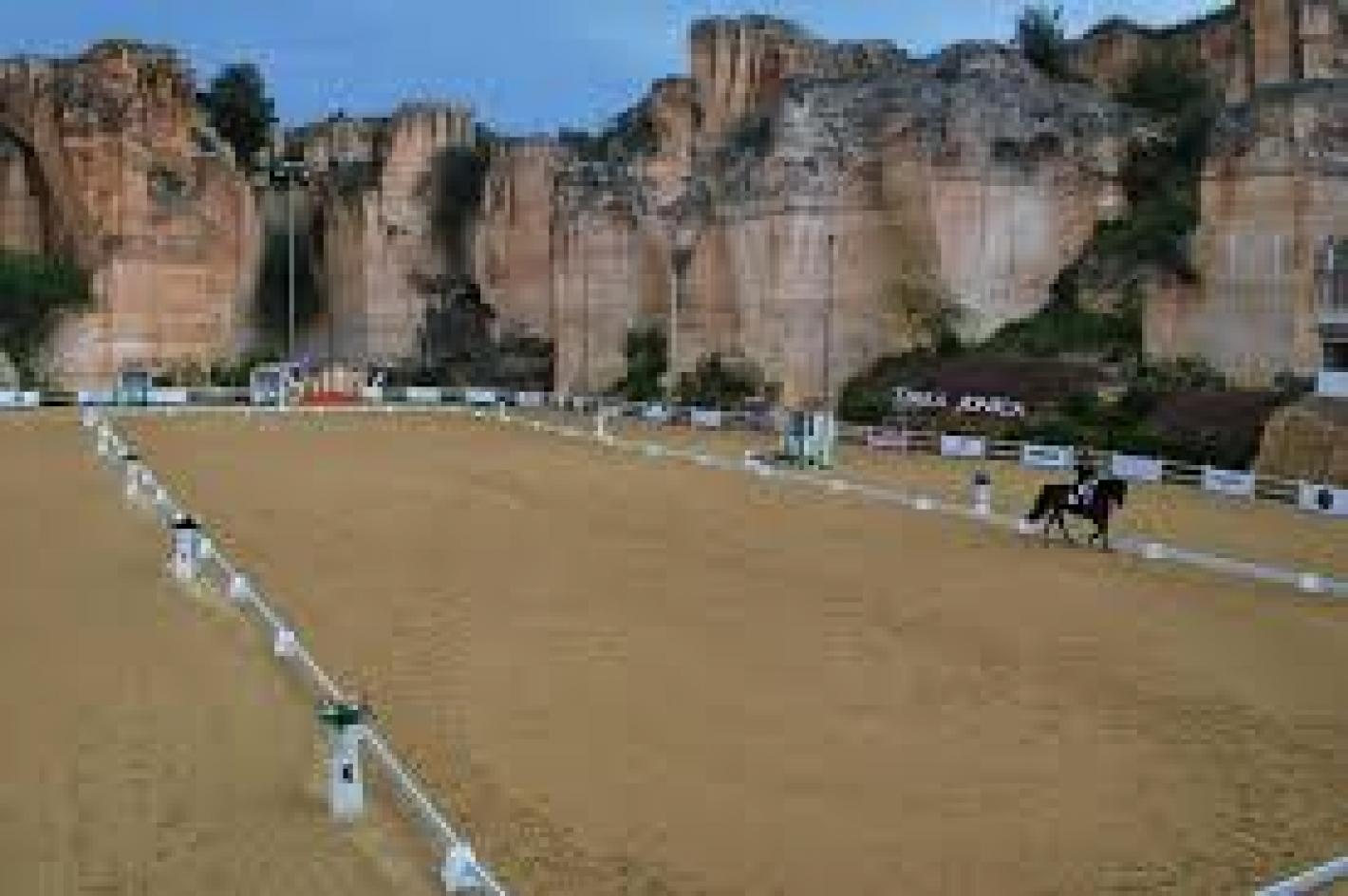 images/puglia/Dressage/medium/rettangolo_taranto.jpg