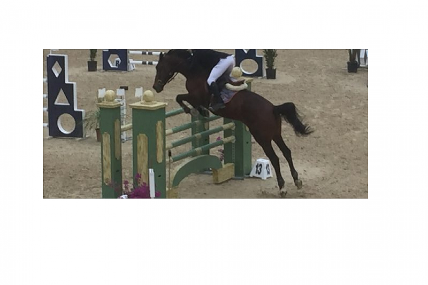 images/puglia/Salto_Ostacoli/medium/Horse_Club_Terra_Jonica.png