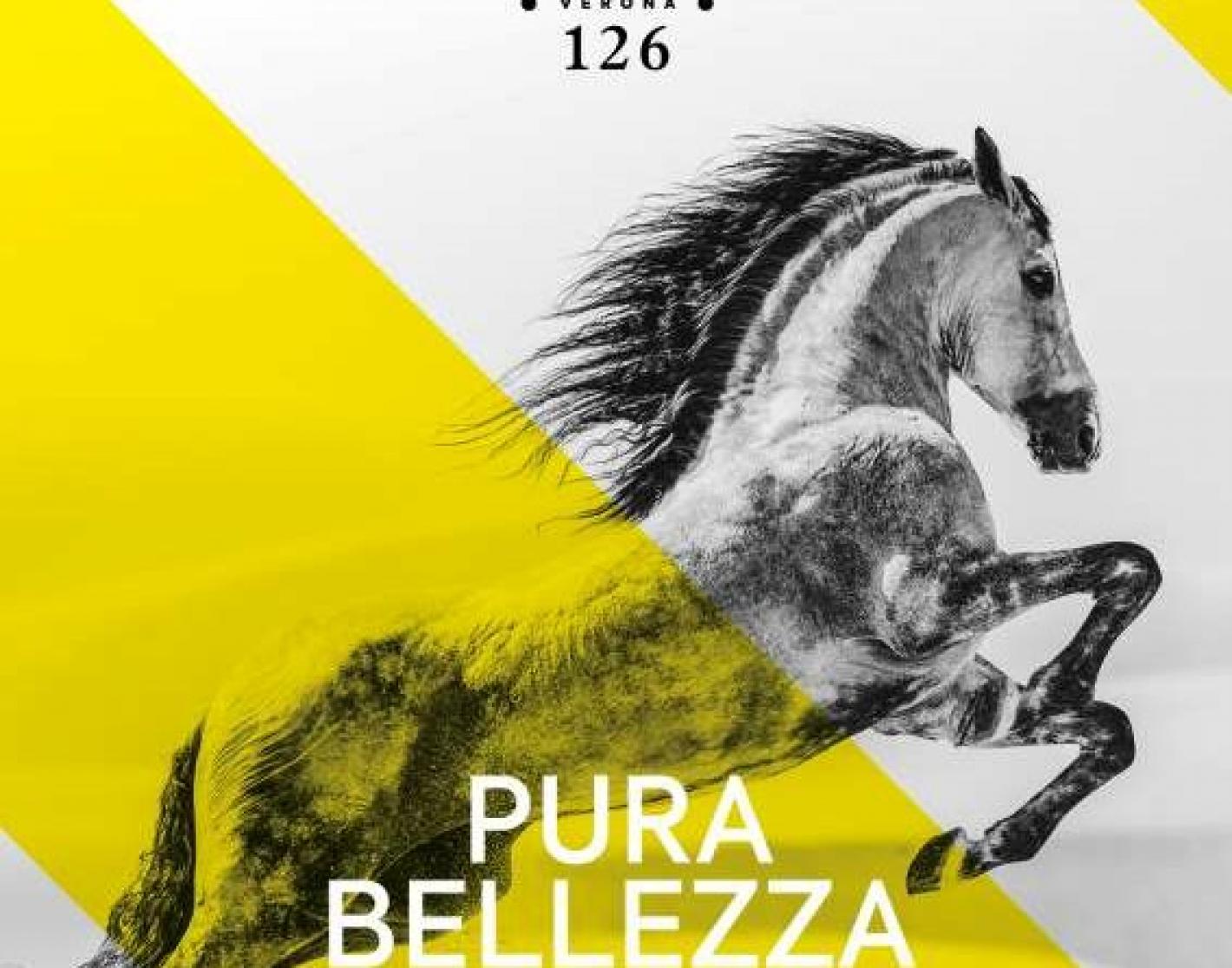 images/puglia/medium/FIERACAVALLI-POSTER-A4_DEF-566x445.jpg