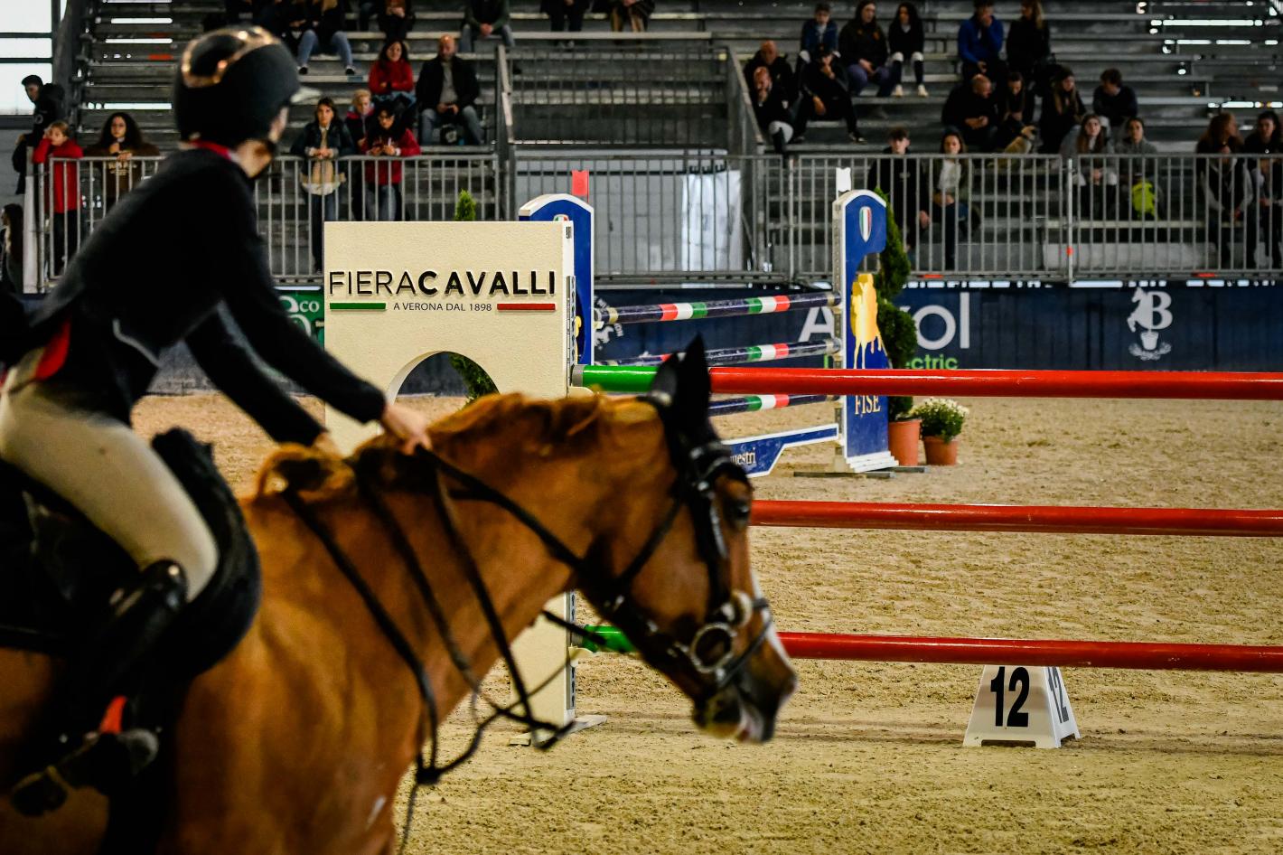 images/puglia/medium/Fieracavalli2022_EnneviFoto_Veronafiere_TDP6847.jpg