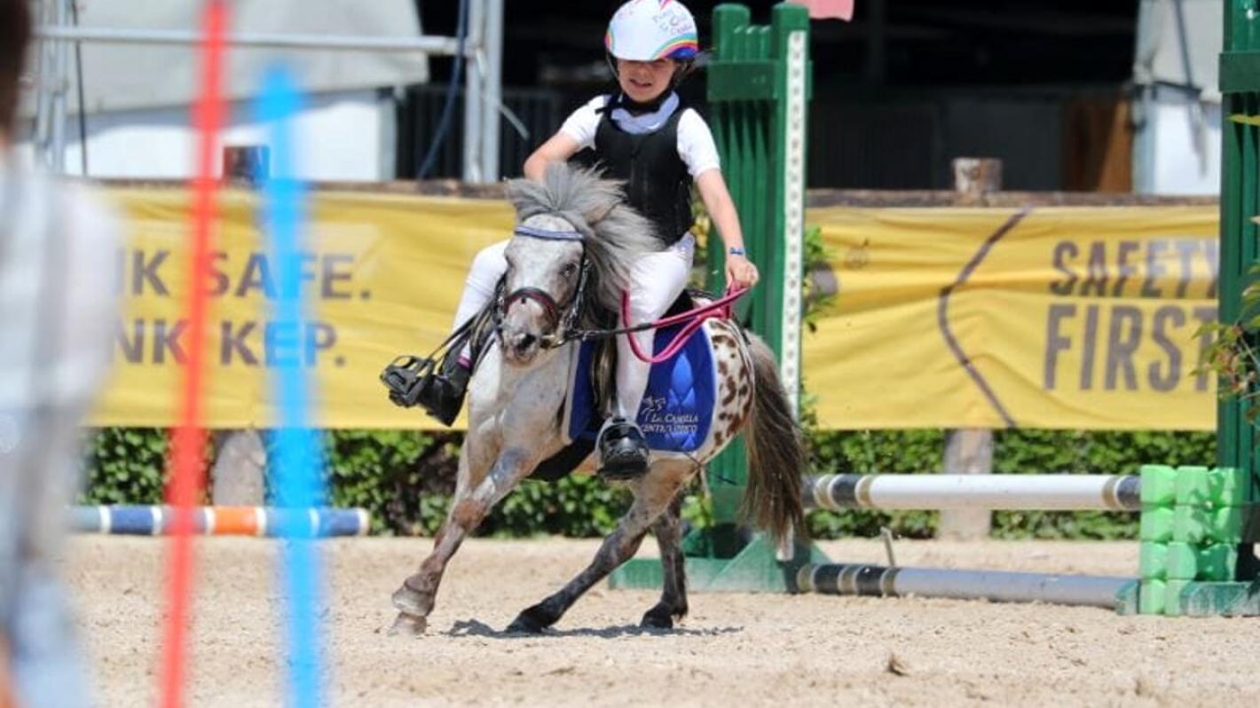 images/puglia/medium/poniadi_arezzo_2023_equestrian_centre.jpg