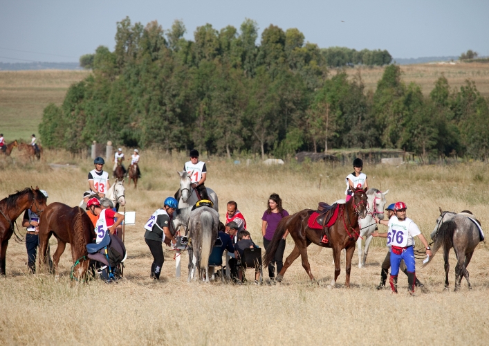 Campionato Regionale Endurance (13 giu 2010)