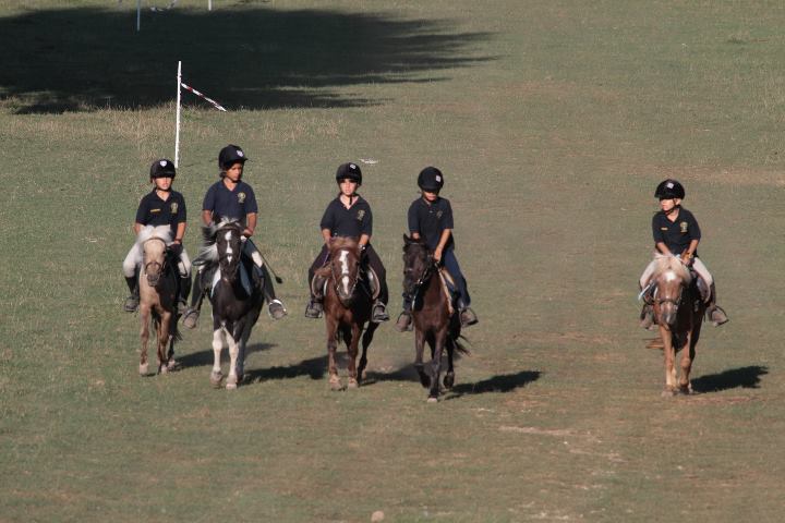 ponyadi2011_16