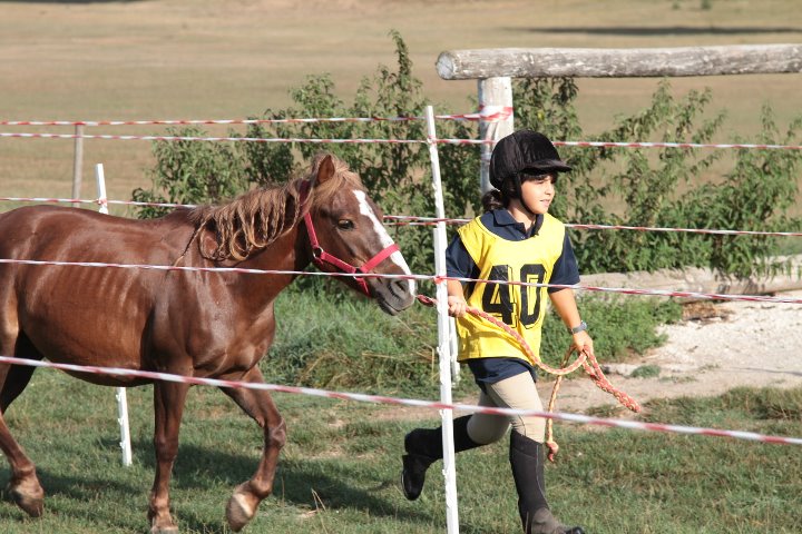 ponyadi2011_17