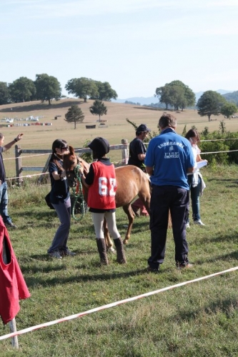 ponyadi2011_20