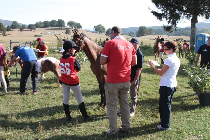 ponyadi2011_21