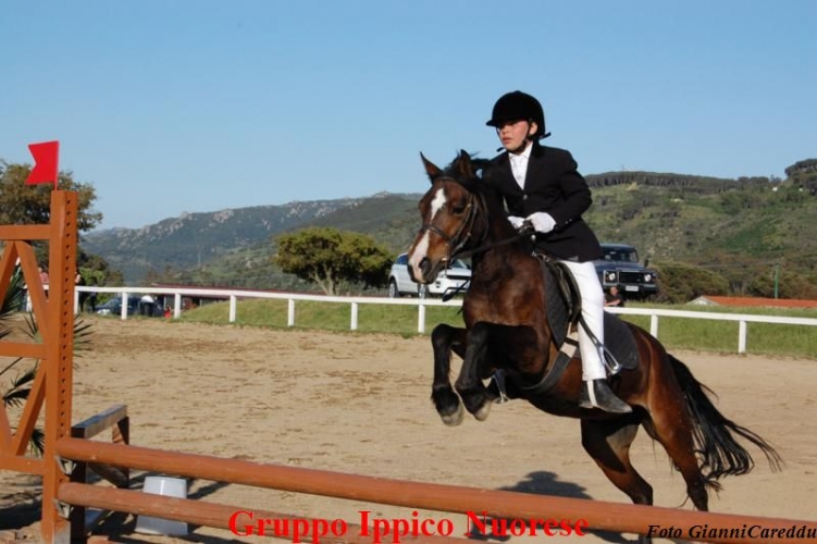 Il Cavallo Un Amore che guarisce (11-12 mag 2012)