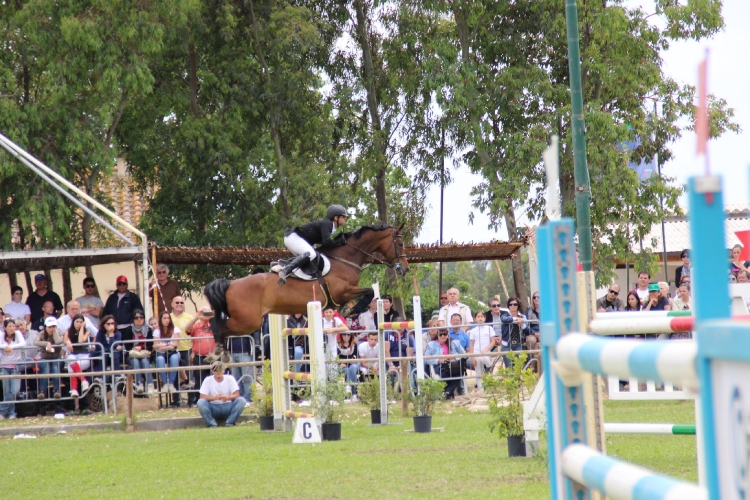 campionato regionale salto ostacoli (30 mag - 01 giu 2014)