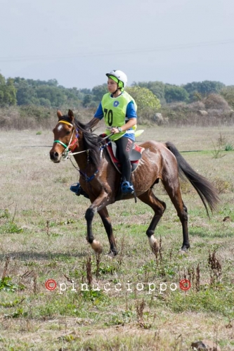 Campionato Regionale Endurance 2019 (Tanca Regia, 27 ott 2019)