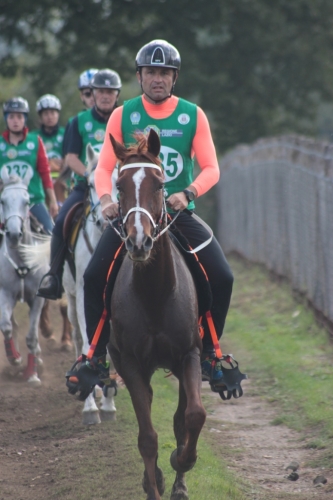 La squadra Medaglia d'Argento cat. CEN A (6)