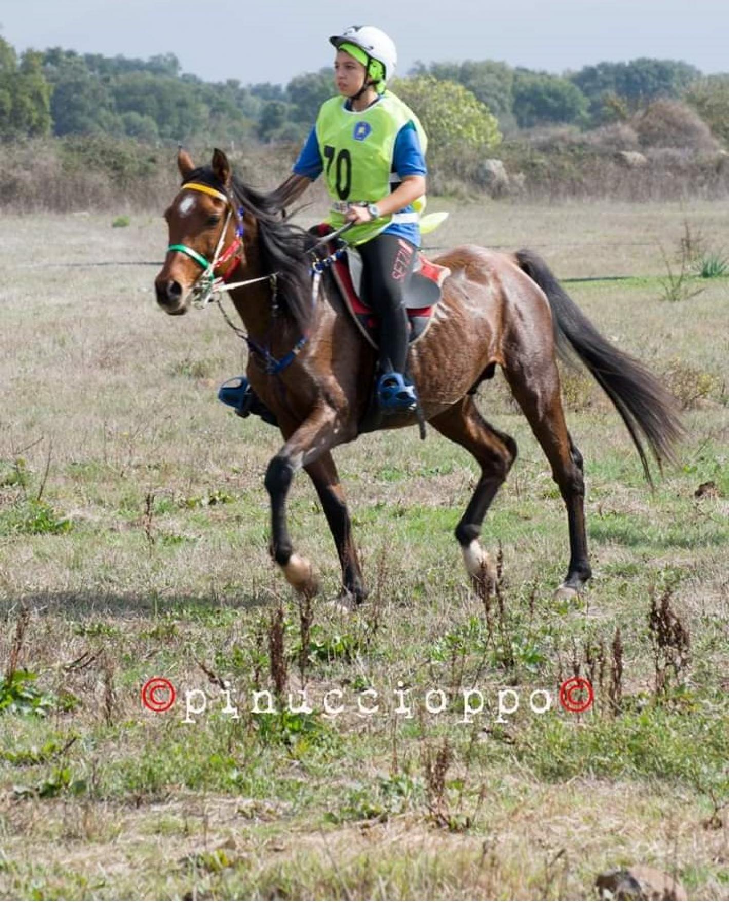 images/sardegna/-NEWS/2019/Endurance/medium/photo-2019-10-28-19-23-17_20191102_1706990406.jpg