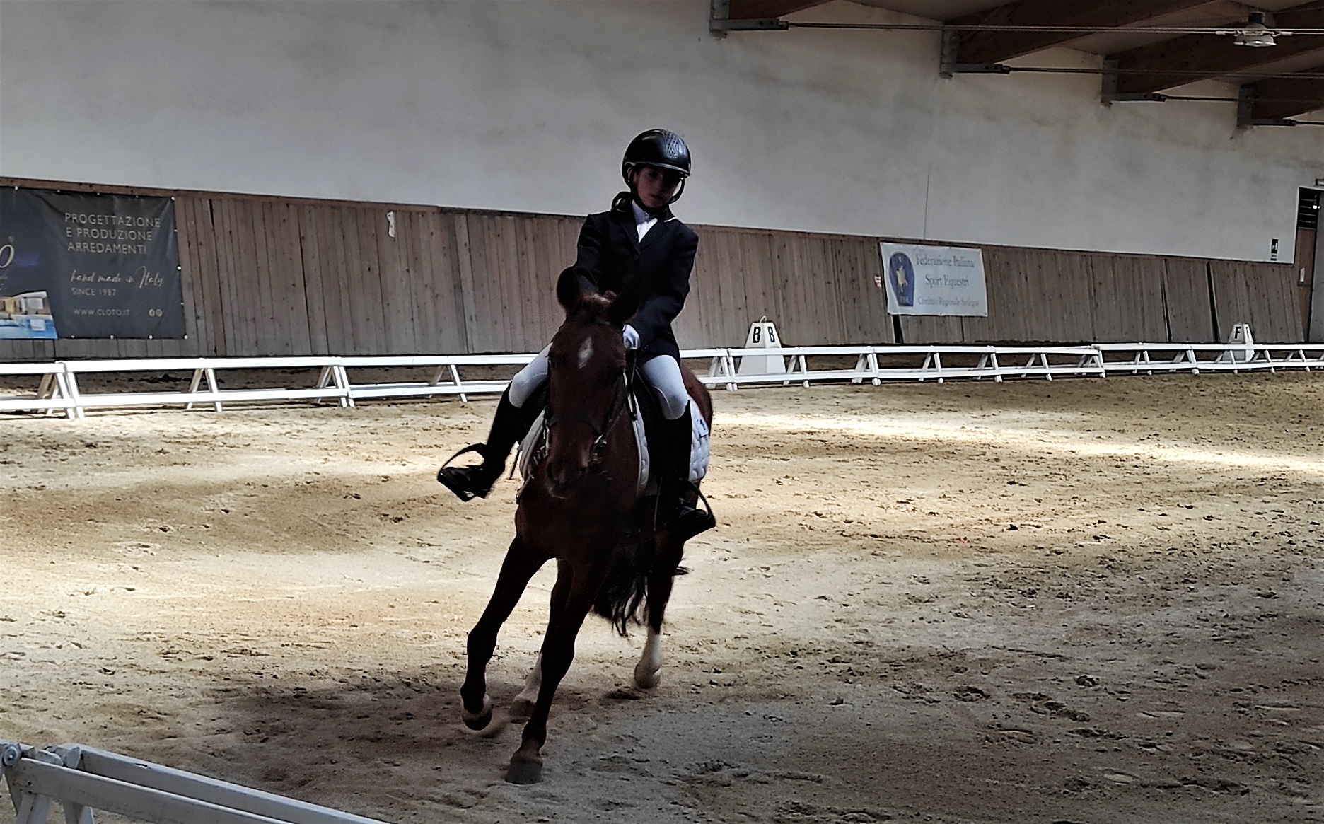 dressage03