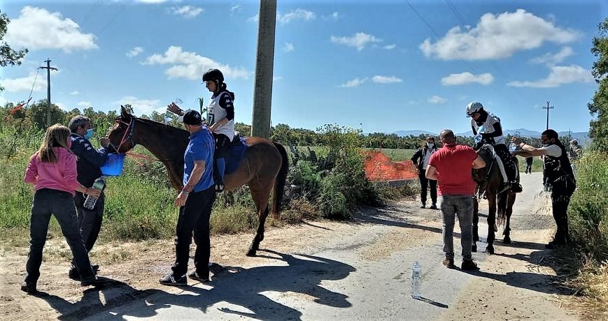 tanca regia end 2