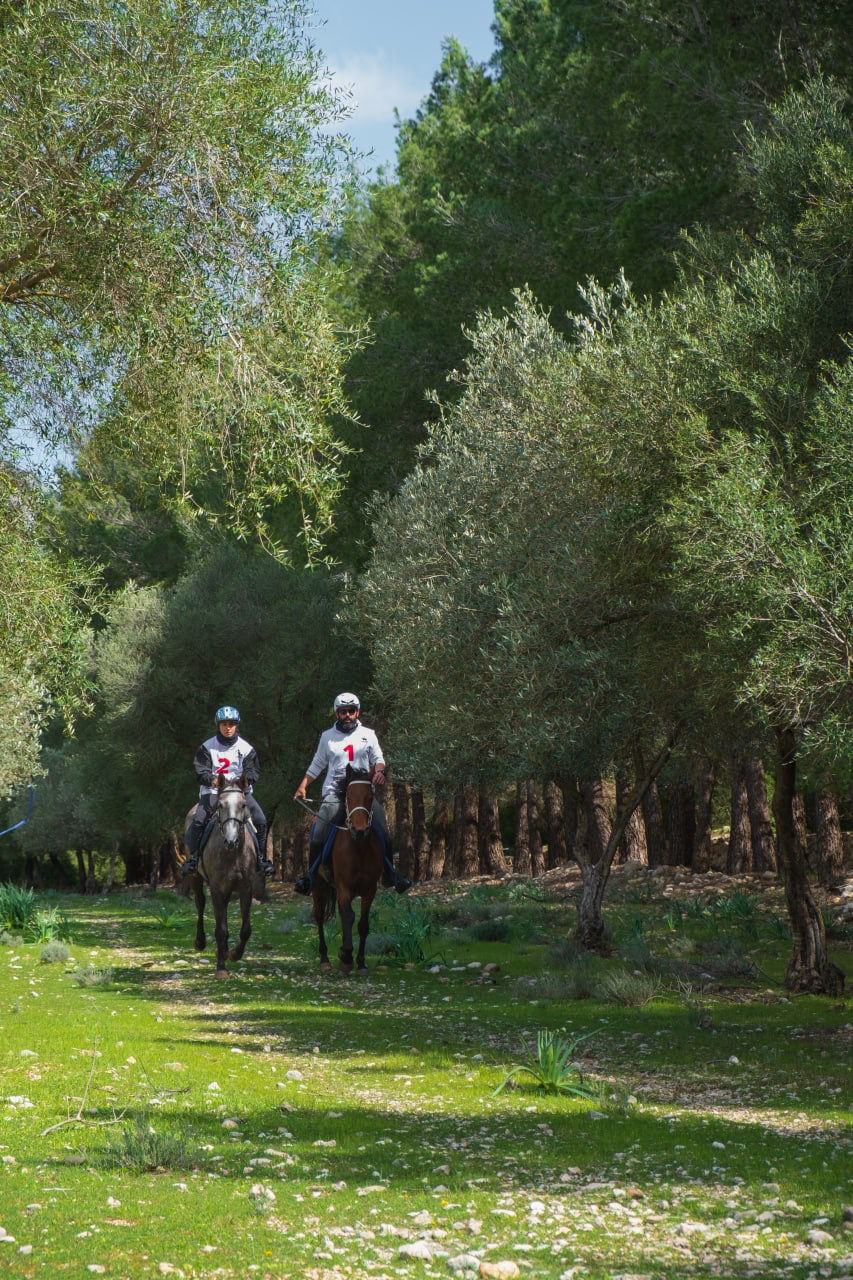 PHOTO 2022 04 04 18 59 08 1