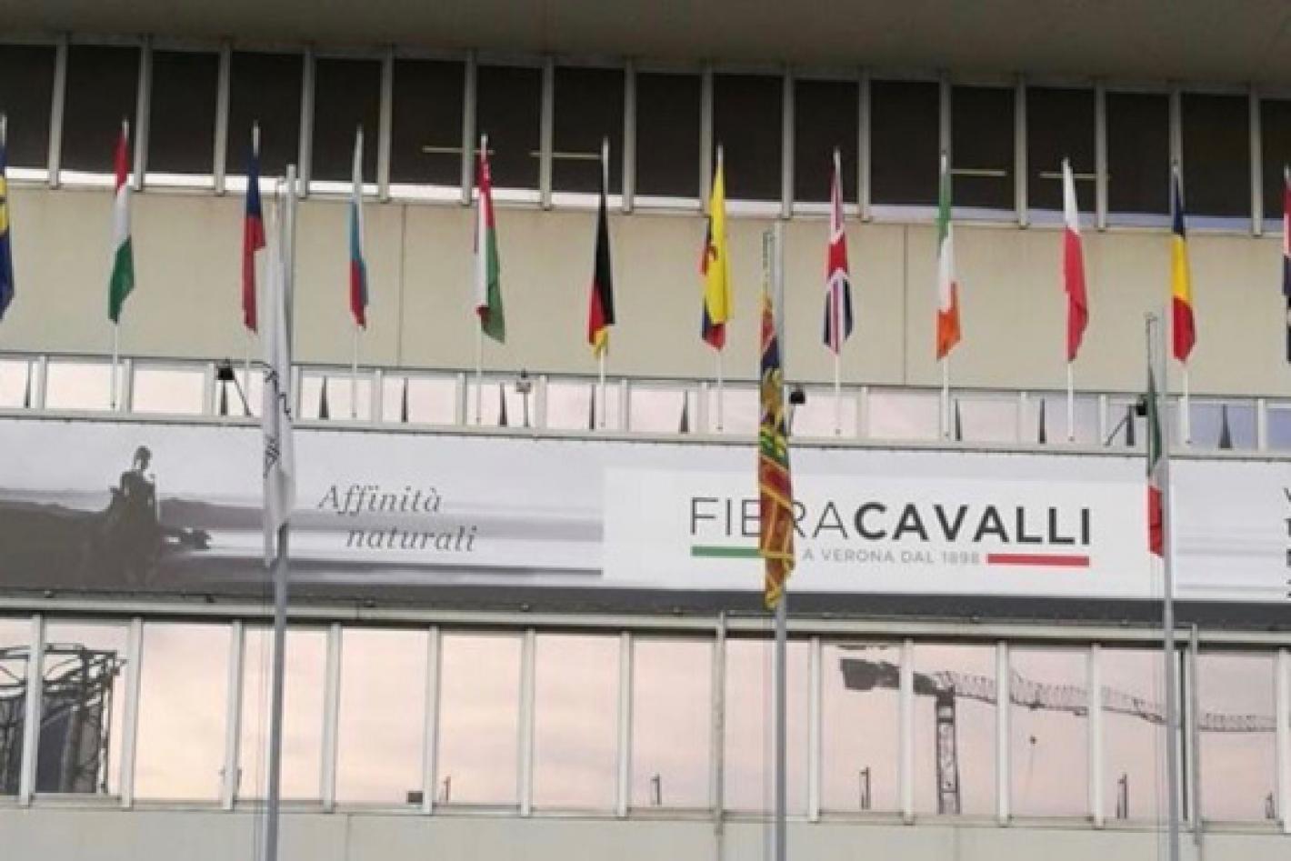 images/sardegna/-NEWS/Fieracavallli/medium/fieracavalli_ingresso_1_re.jpg