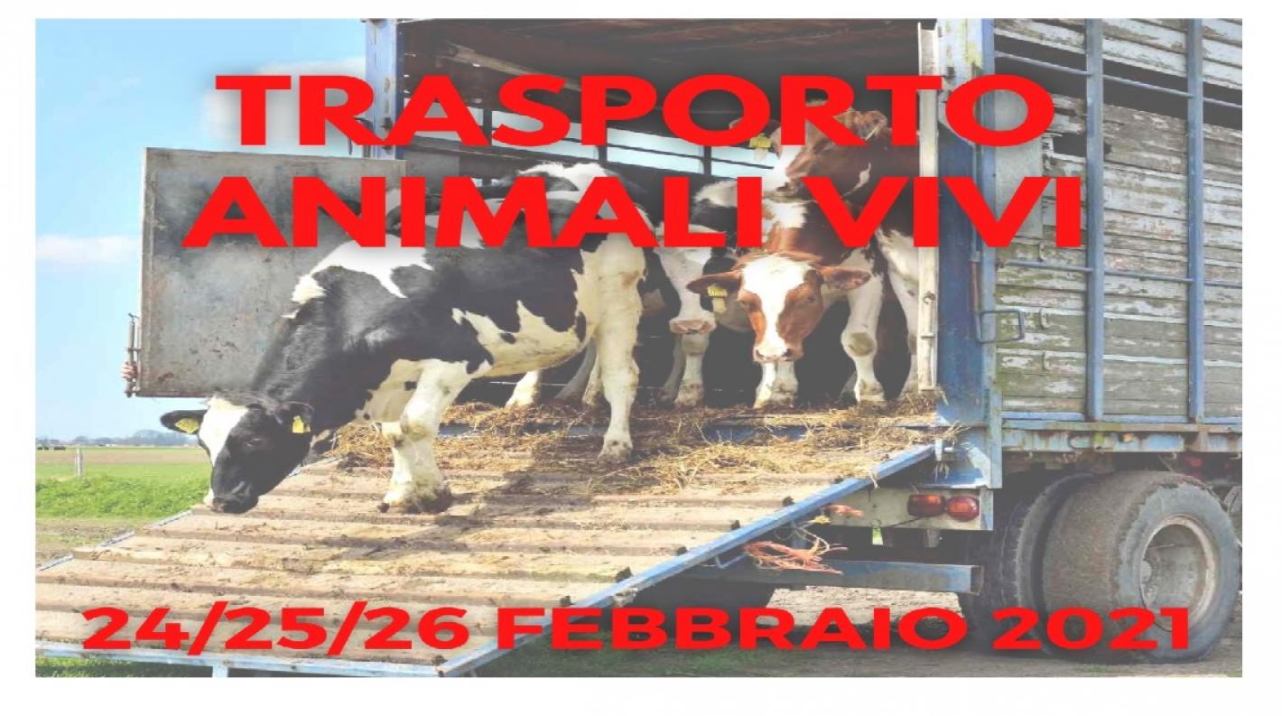 images/sardegna/-NEWS/Formazione/medium/banner_trasporto_animali_vivi.jpg