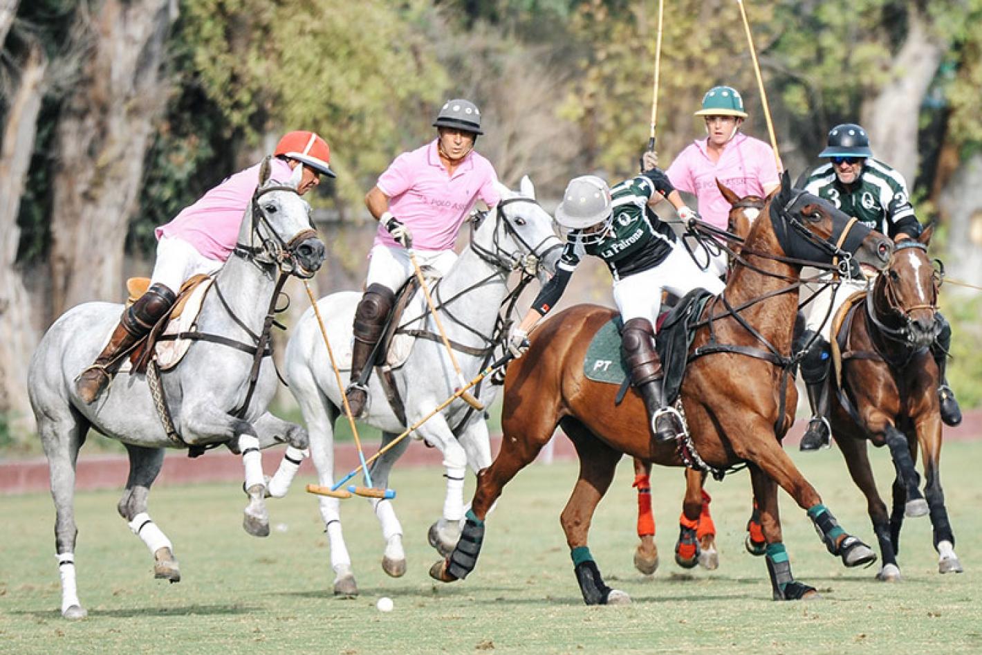 images/sardegna/-NEWS/Polo/medium/Polo_Arena_Grass.jpg