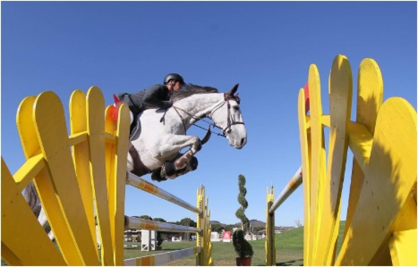 images/sardegna/-NEWS/Salto_Ostacoli/medium/fieracavalli.jpg