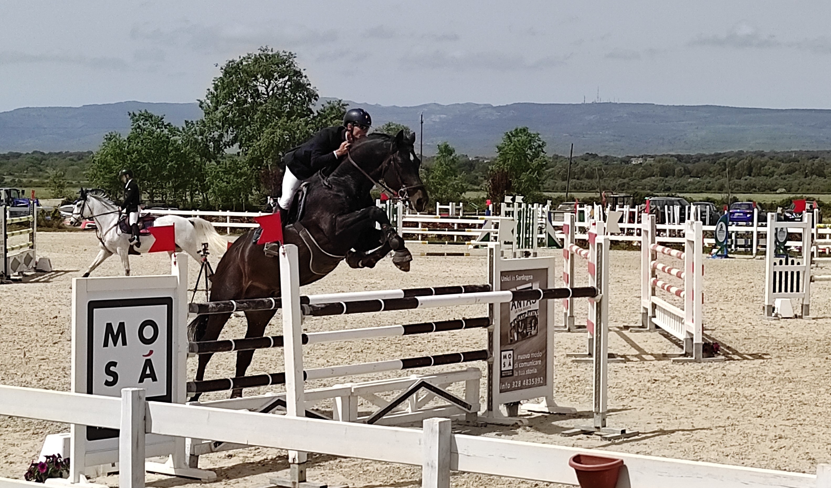 tancaregia salto e cavallo 2