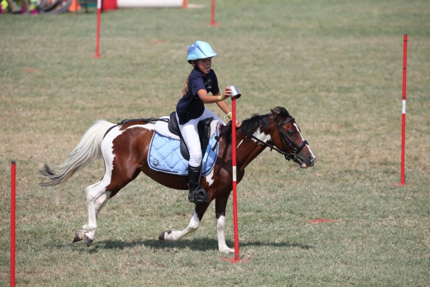 images/sardegna/-NEWS/Segreterie_di_concorso/medium/Pony_Games_Marco_Villanti.jpg