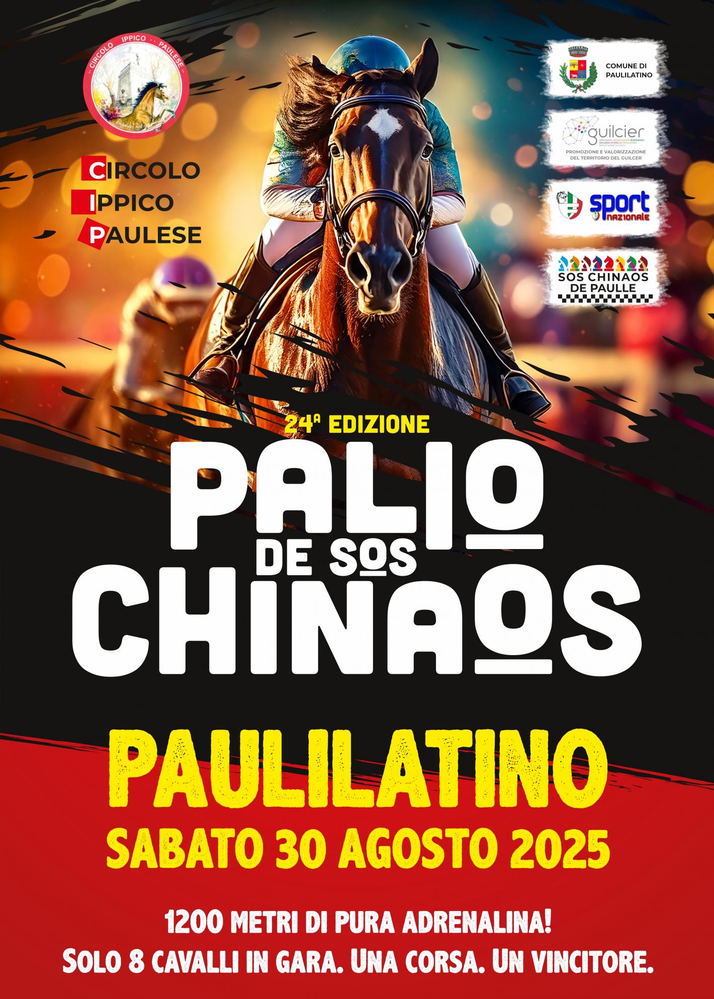images/sardegna/-NEWS/Varie/2025/medium/palio_ichinaos_Locandina_2025_-_02.jpg