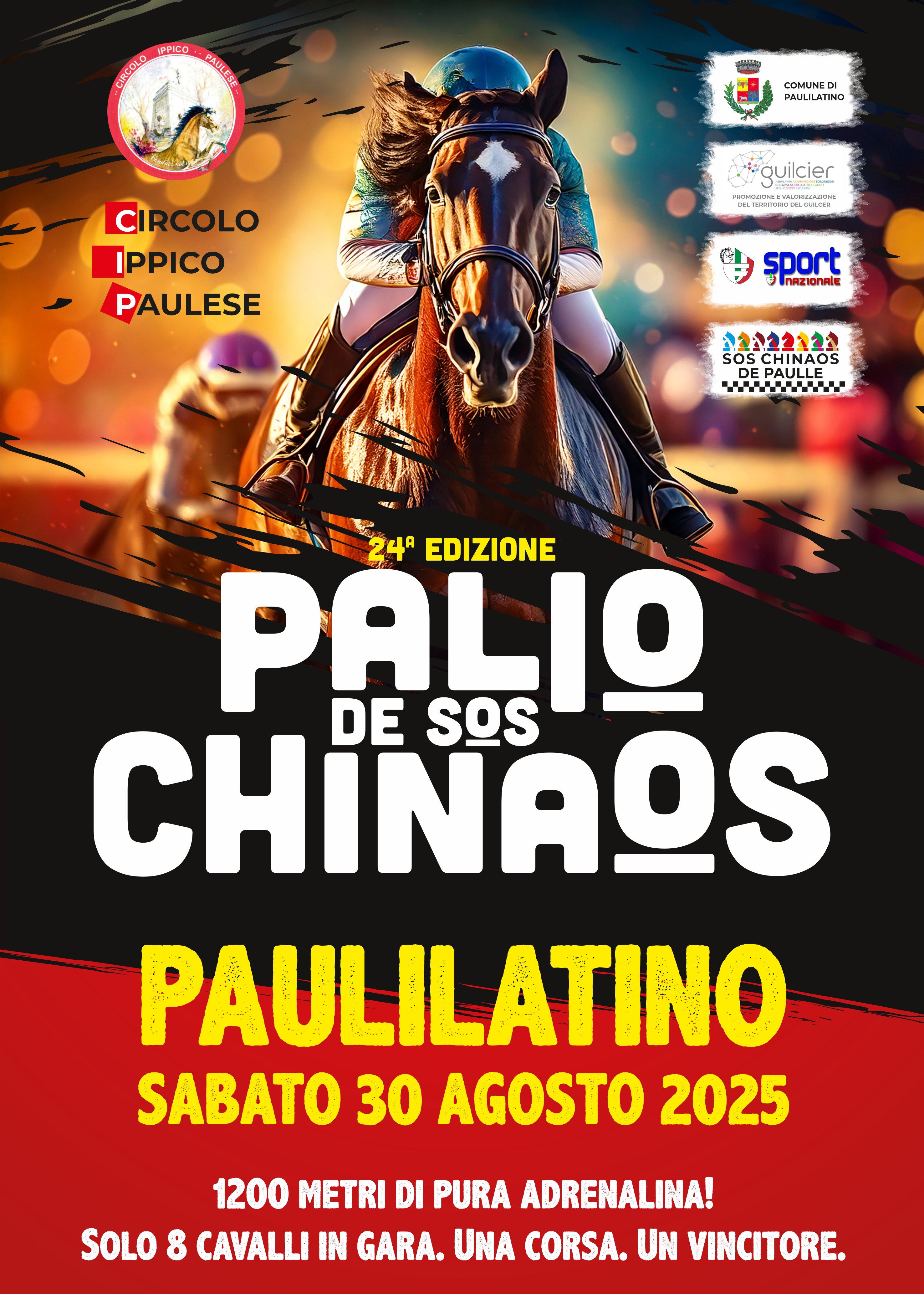 palio ichinaos Locandina 2025 02