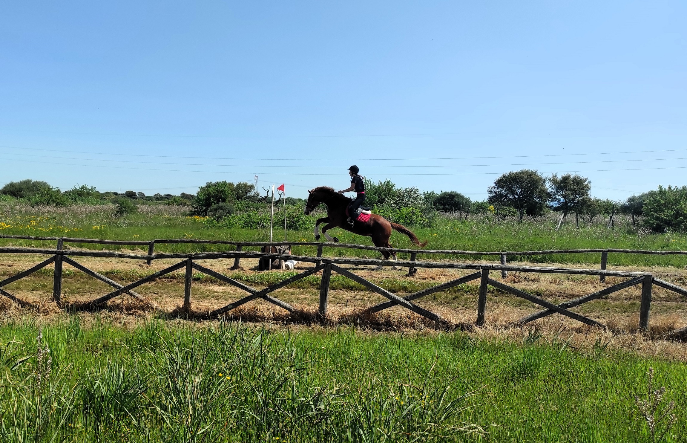 salto cross cn60.jpg