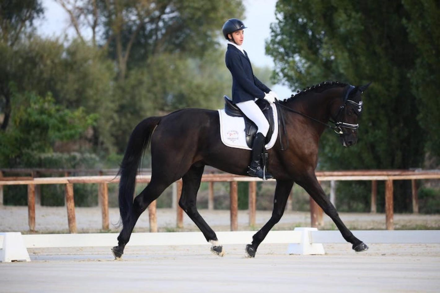 images/sicilia/Dressage/medium/Censabella_giuseppe_Carlo_.jpg