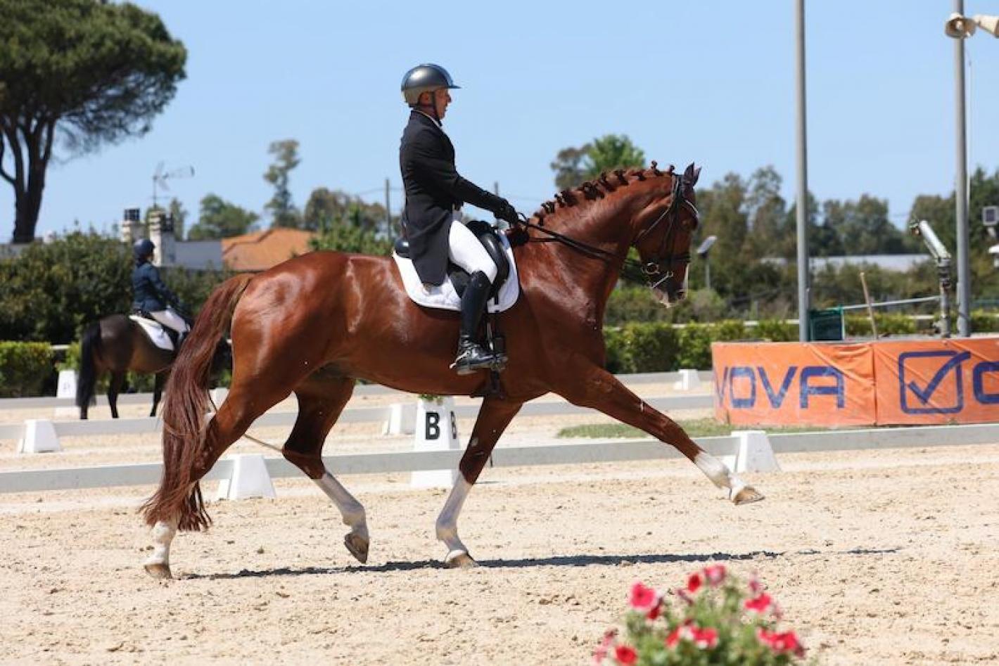 images/sicilia/Dressage/medium/Cingari_zambrone.jpg