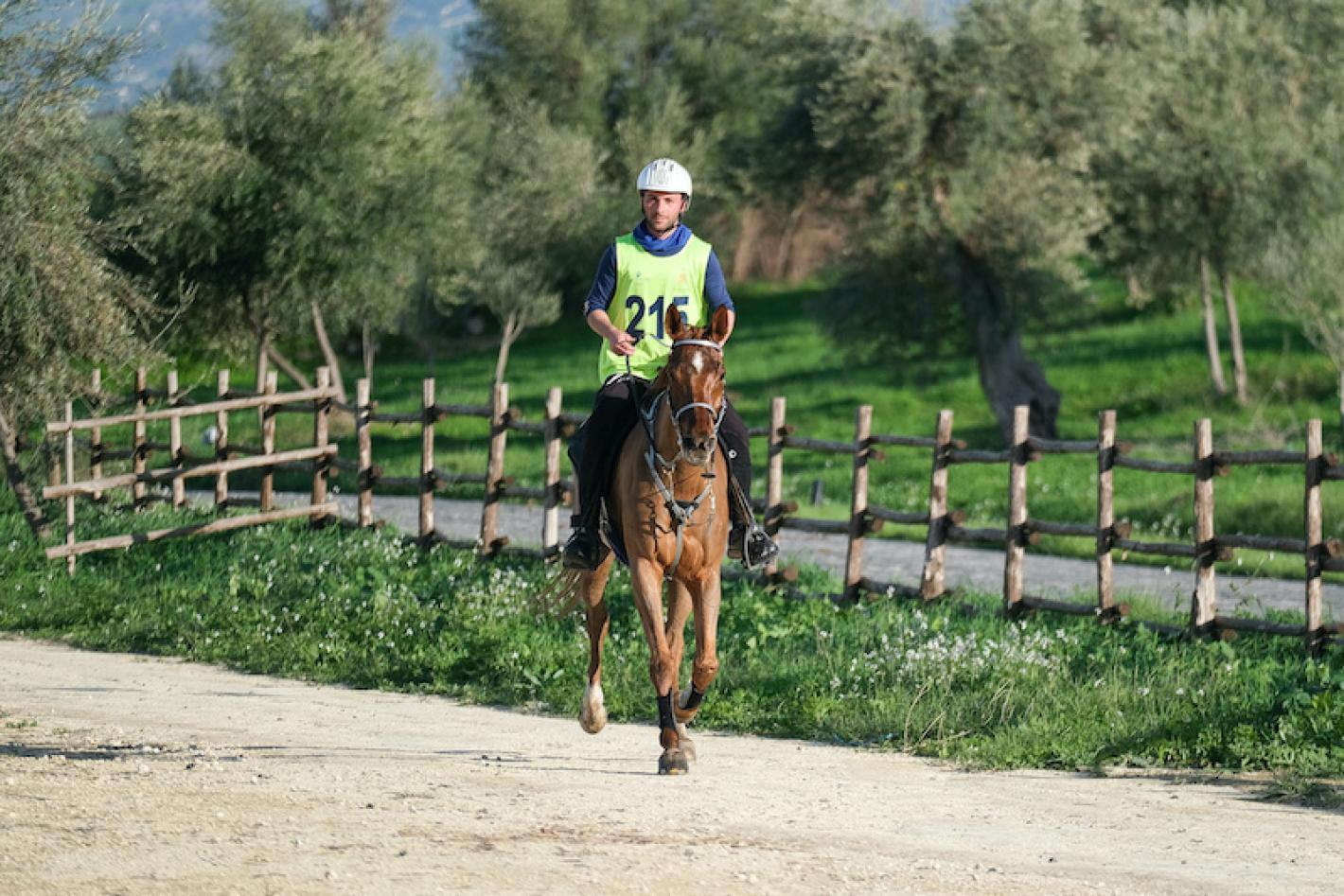 images/sicilia/Endurance/medium/Daniel_Braido_su_Lady_Asma_by_Ulumu_.jpg