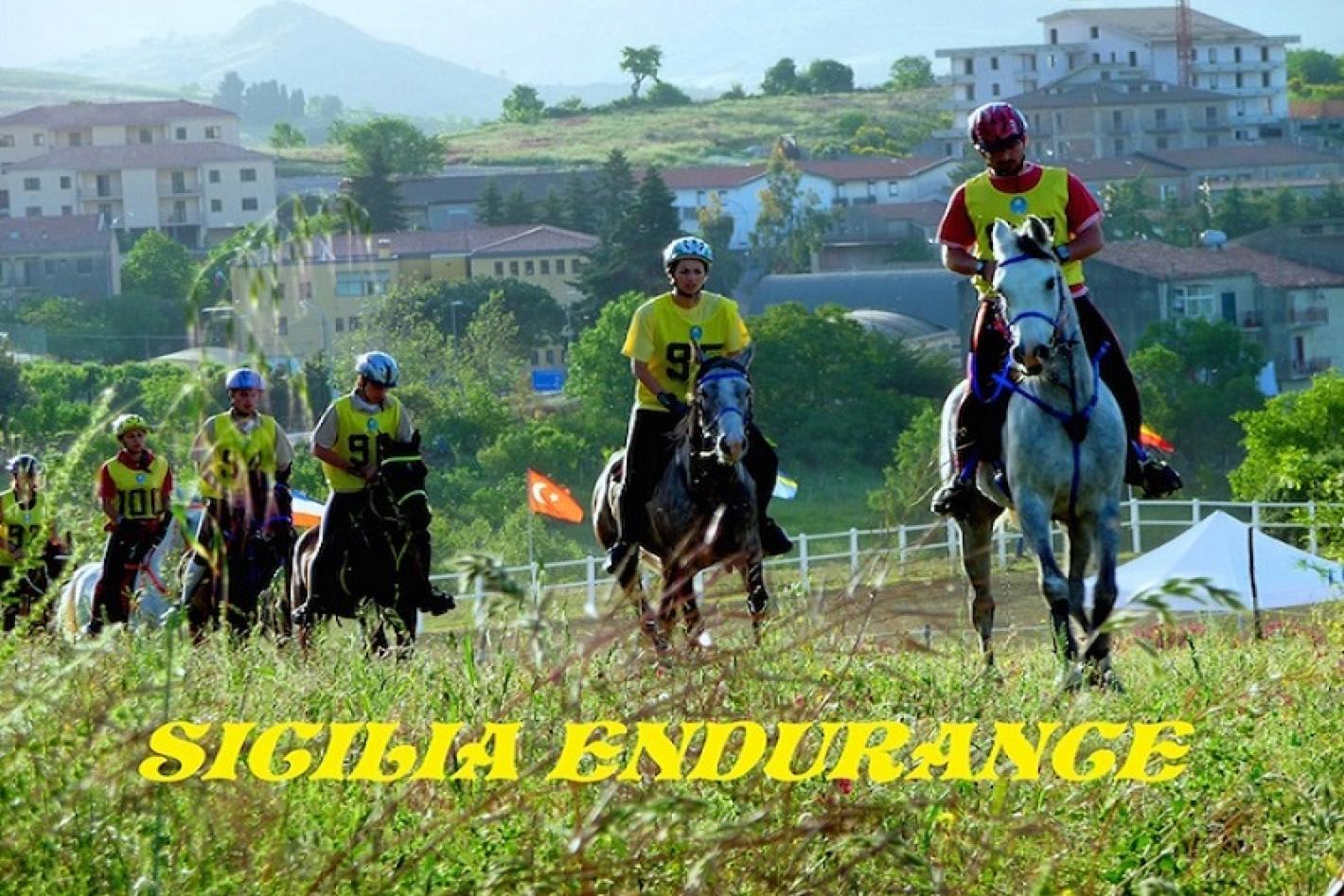images/sicilia/Endurance/medium/Endurance_generica.jpg