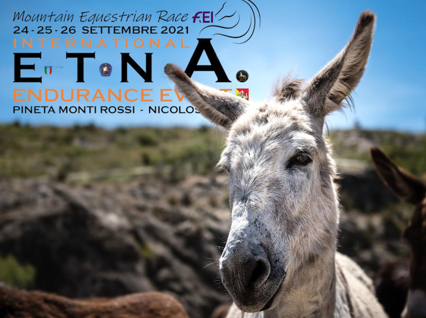 images/sicilia/Endurance/medium/Etna_Endurance_Event.jpg
