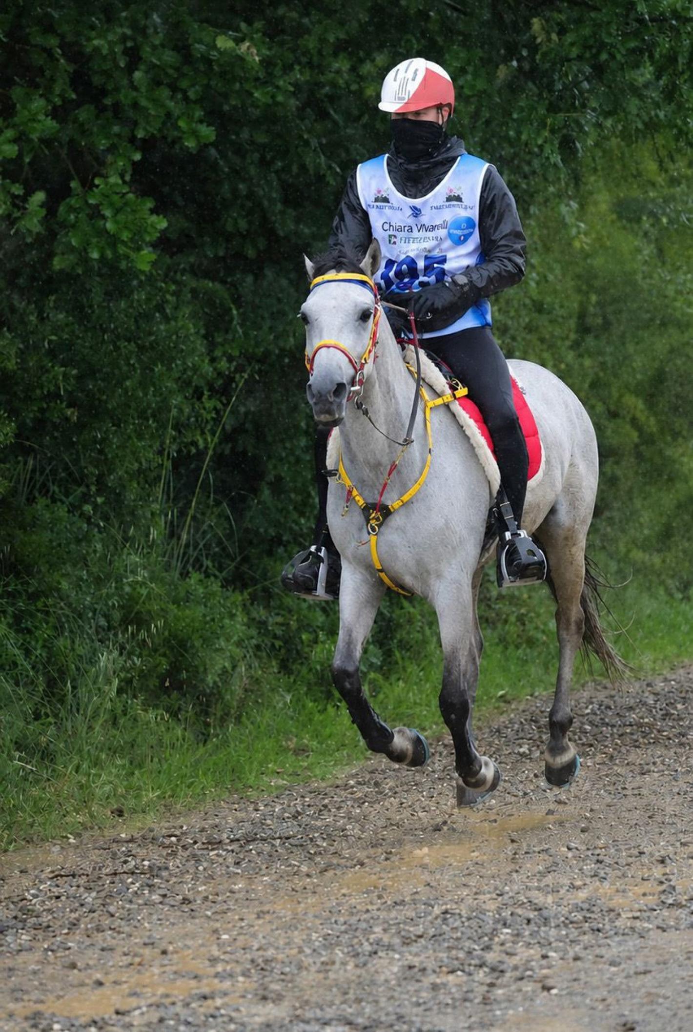 images/sicilia/Endurance/medium/Ragusa_antonio_rocky.jpg