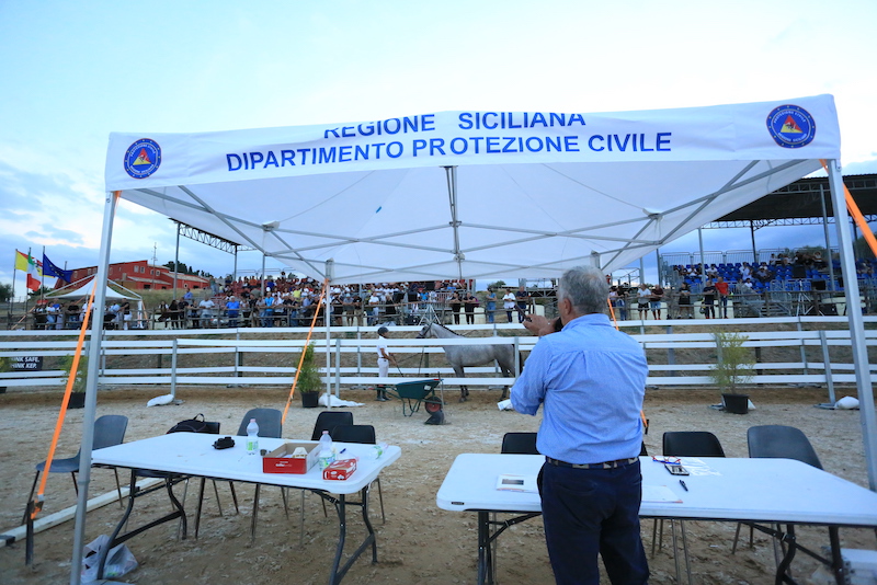 Asta banditore