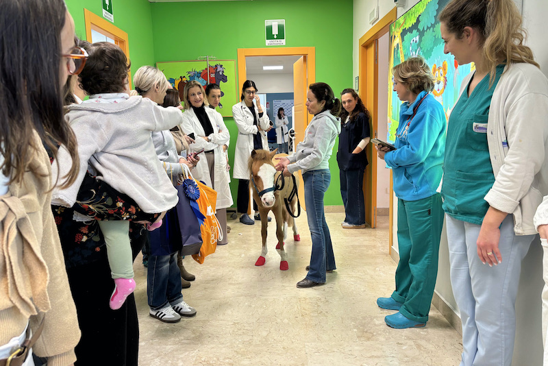 Natale con la FISE Osp. Cervello 2