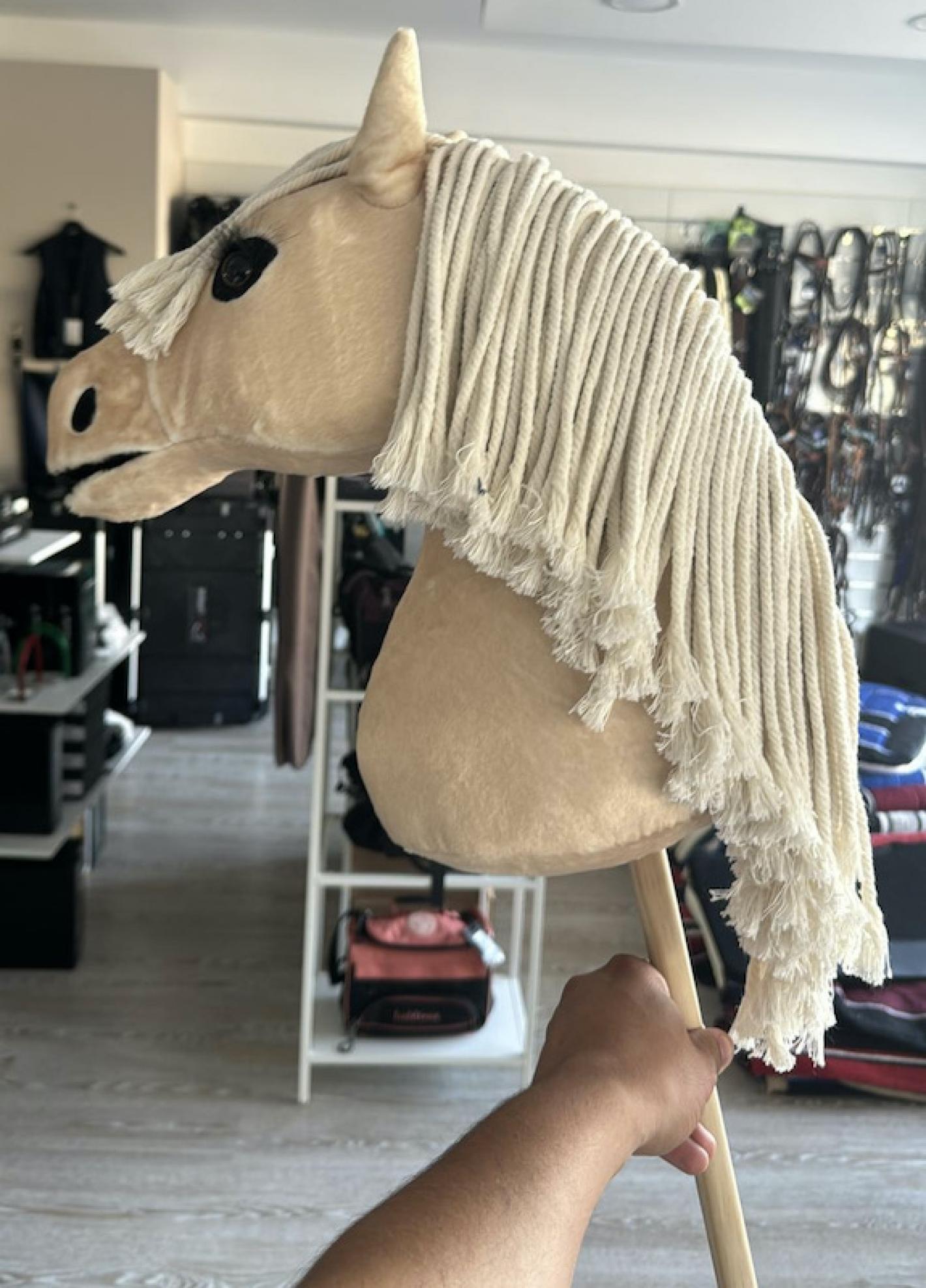 images/sicilia/News_Generiche/medium/Hobby_Horse_2.jpg