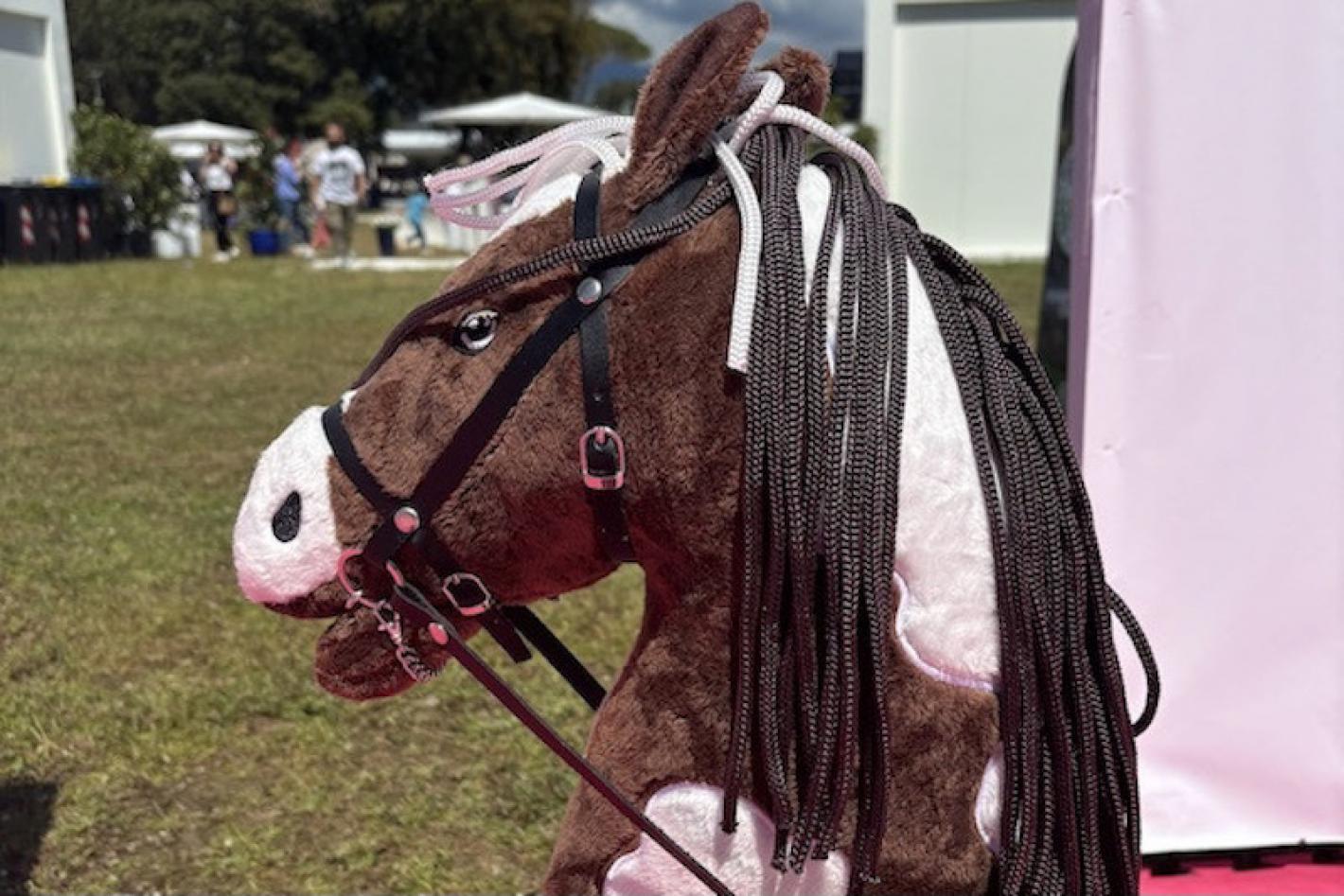images/sicilia/News_Generiche/medium/Hobby_horse_2_2.jpg
