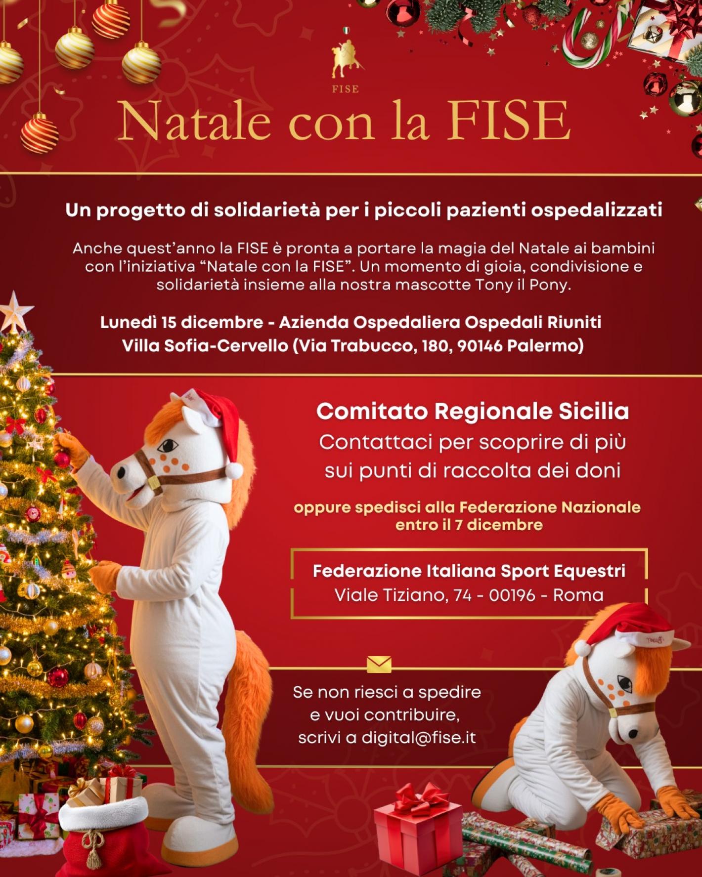 images/sicilia/News_Generiche/medium/Natale_FISE_Sicilia__.jpg