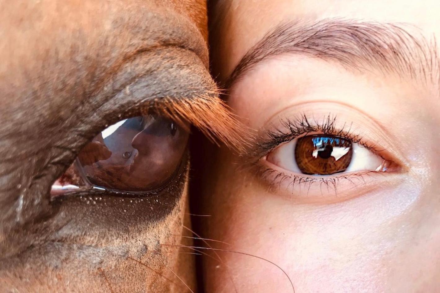 images/sicilia/News_Generiche/medium/Occhi_cavallo_donna.jpg