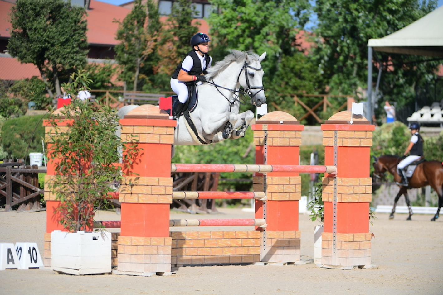images/sicilia/Pony/medium/CAMPANELLA_FLAVIO_Bobby_Dawn_proli.jpg