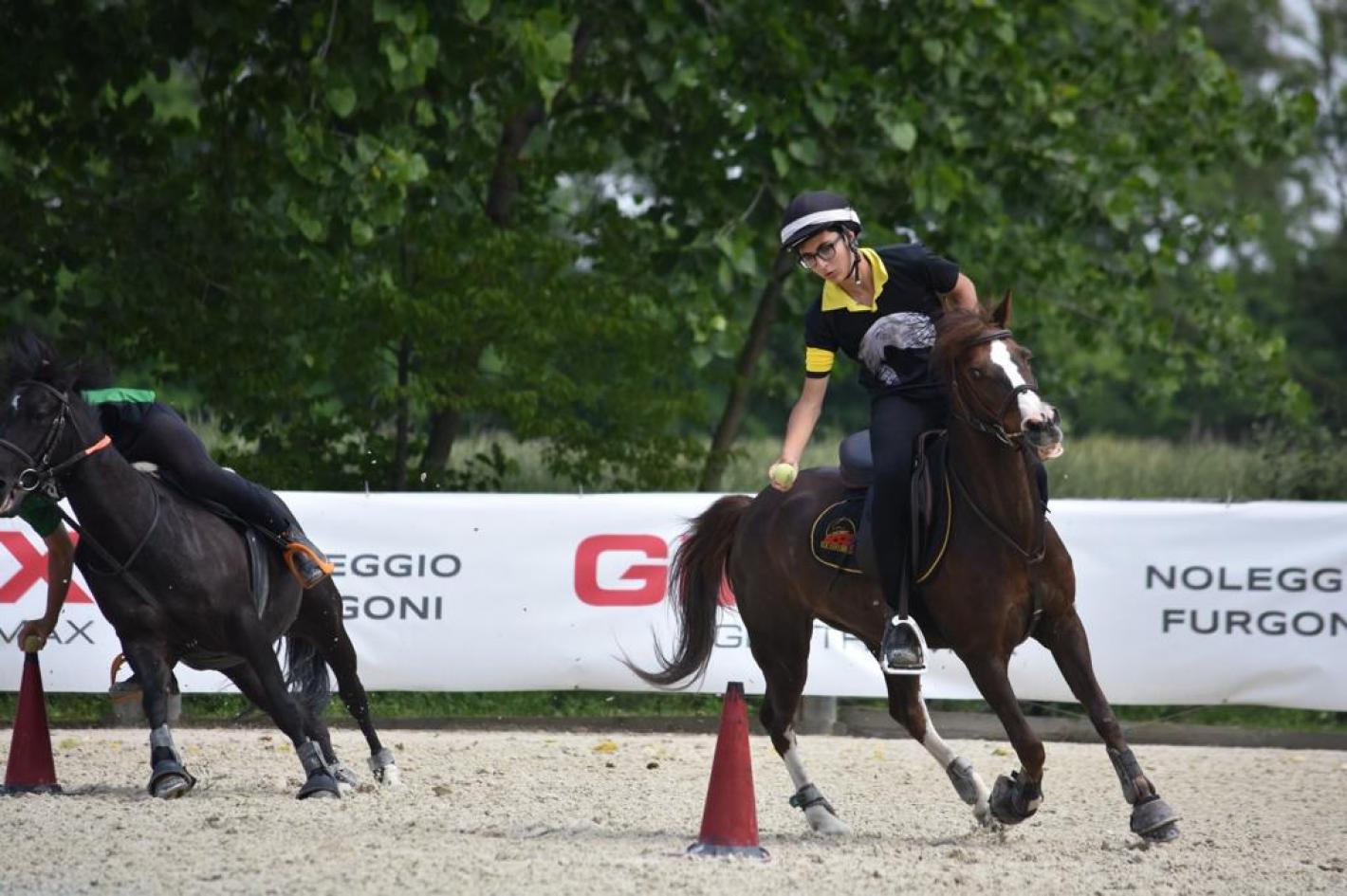 images/sicilia/Pony/medium/Scarpato_Nicolò_su_stella.jpg