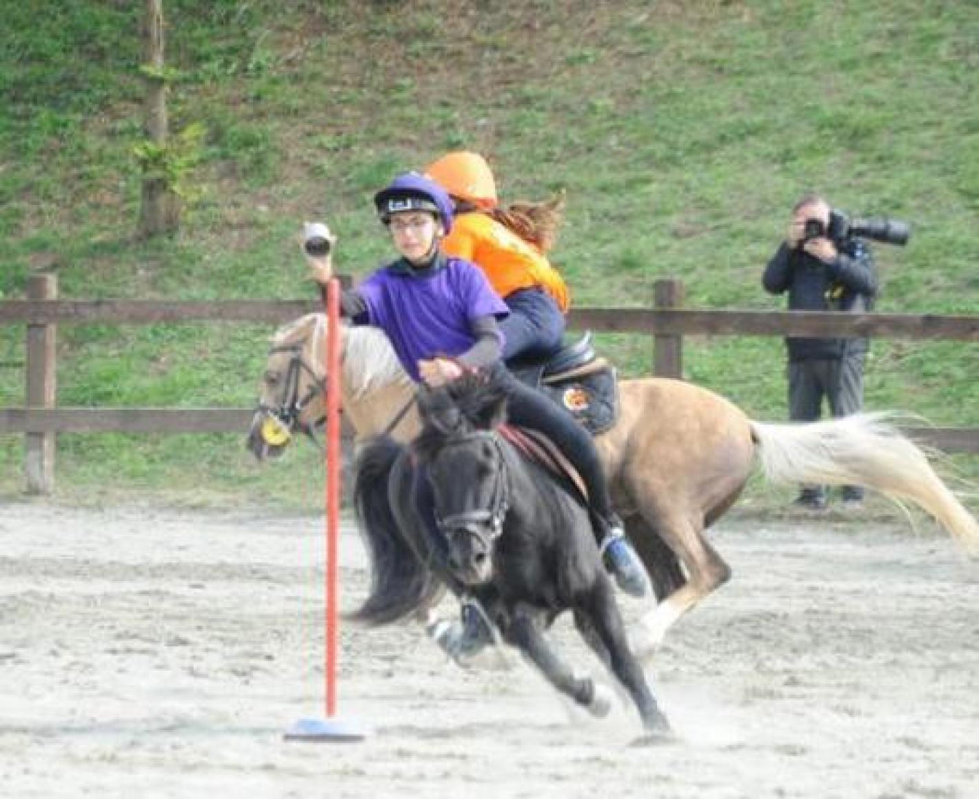 images/sicilia/Pony/medium/Scarpato_nicolò.jpeg